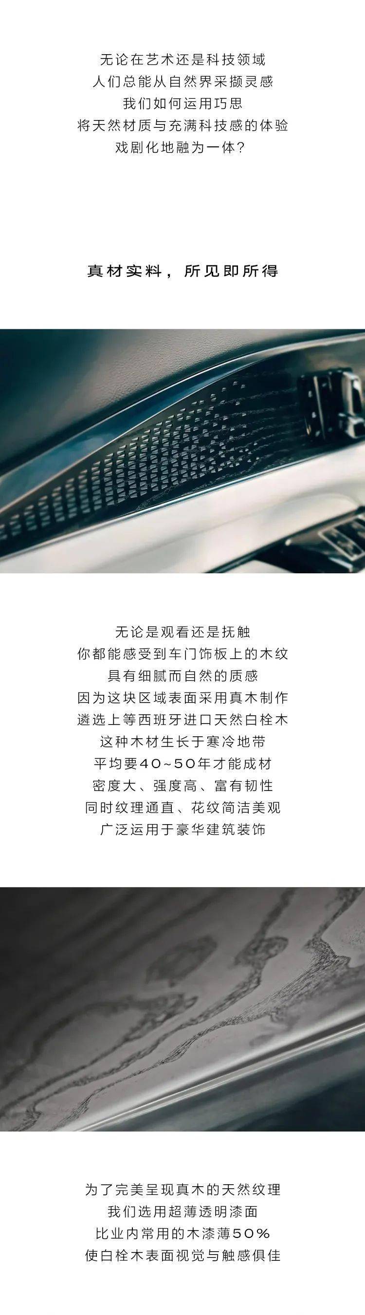 身影,身影|你总会惊叹于树的身影，叶的摇曳