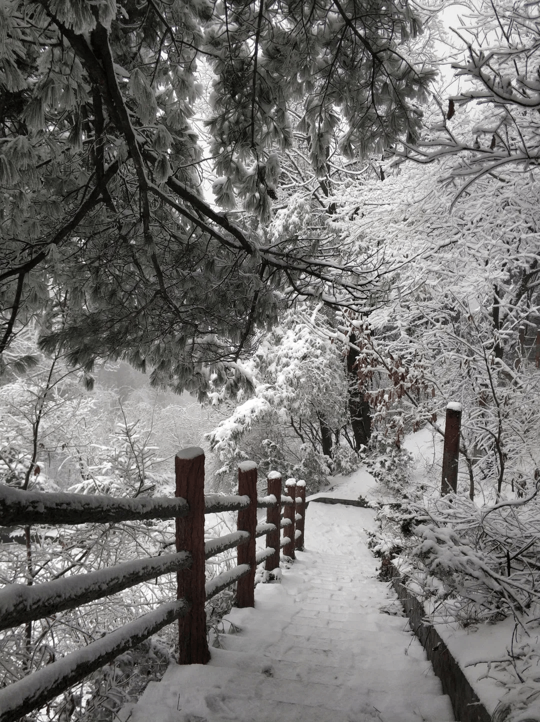 疫情雪后小城，每一帧都美成屏保!