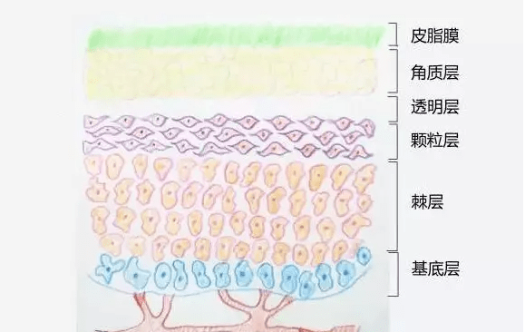 优惠新年捡漏：兰蔻小黑瓶直降1000！抱歉，这么大优惠说晚了...