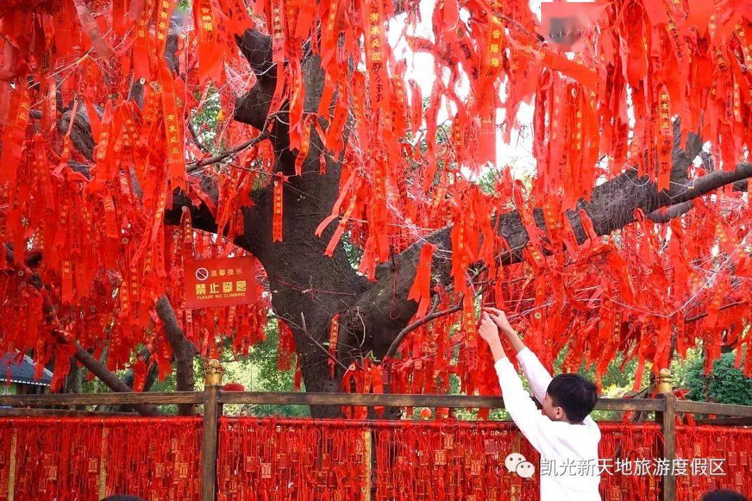 新春合集就地過年仙女湖區2022年春節本地遊玩全攻略來了