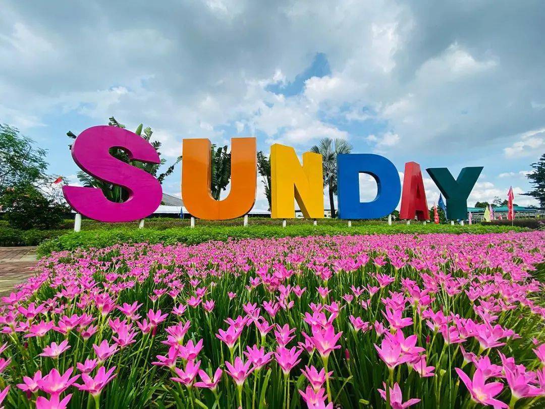 新地农场118元抢2大2小或3大门票8张游乐小票采摘券春节通用不加收