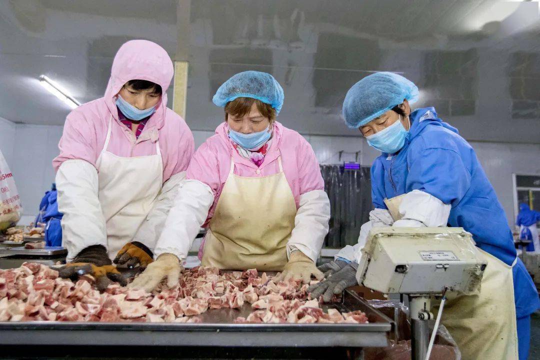 家畜养殖从入门到增效：场地、繁育、饲草与活畜交易的实操梳理