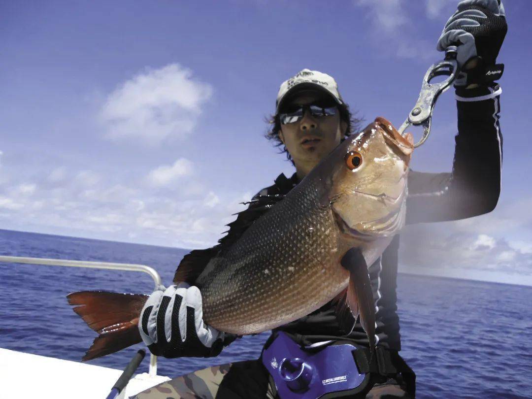 我一个路亚菜鸟,竟然体验到了gt的疯狂(四)_帕劳_铁板_轻型