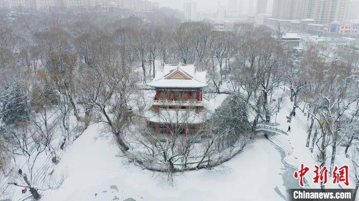 雪景|甘肃平凉民众雪地里寻“冬趣”