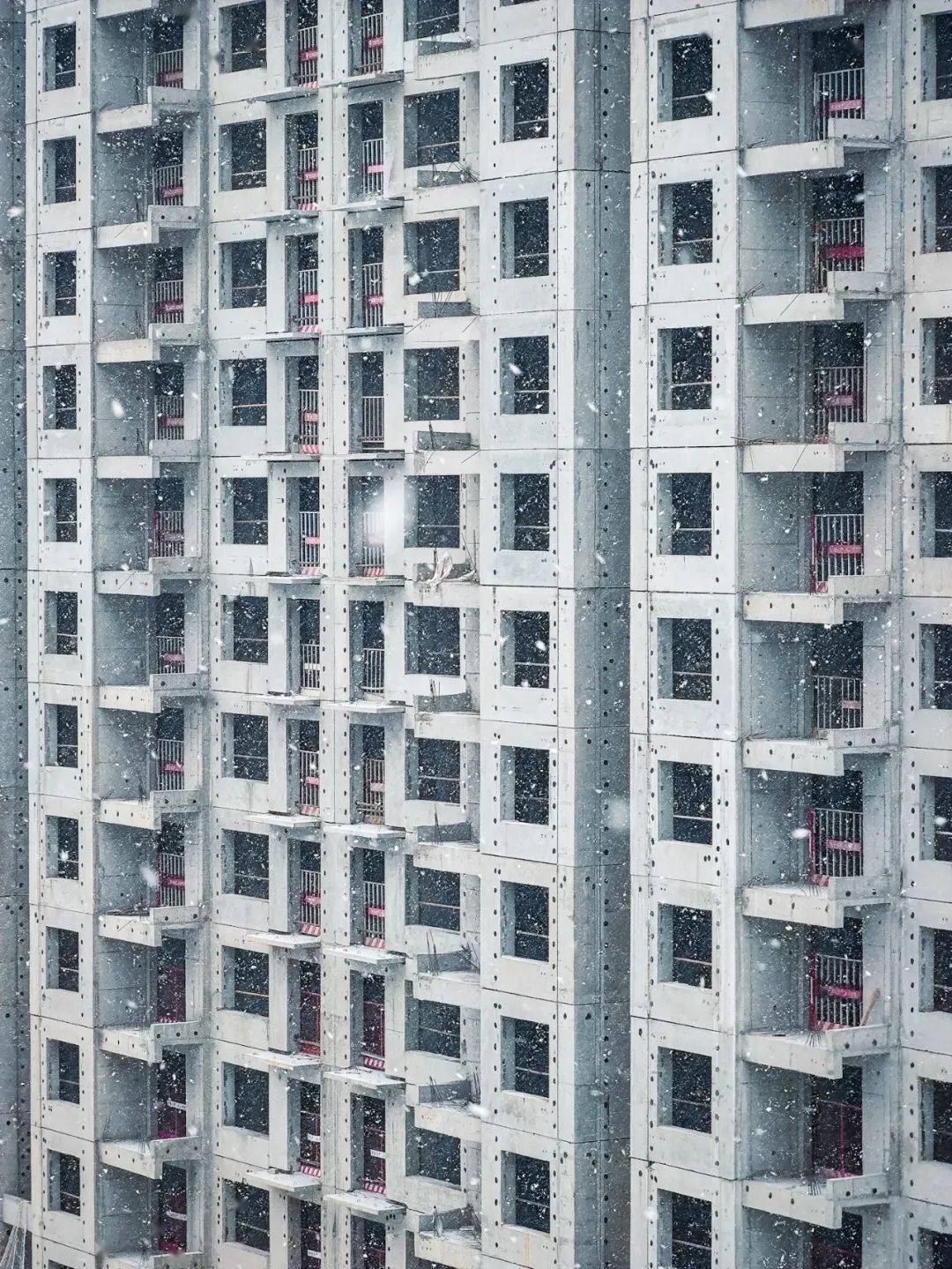 牛铭乾|错过这波，只能明年再见！