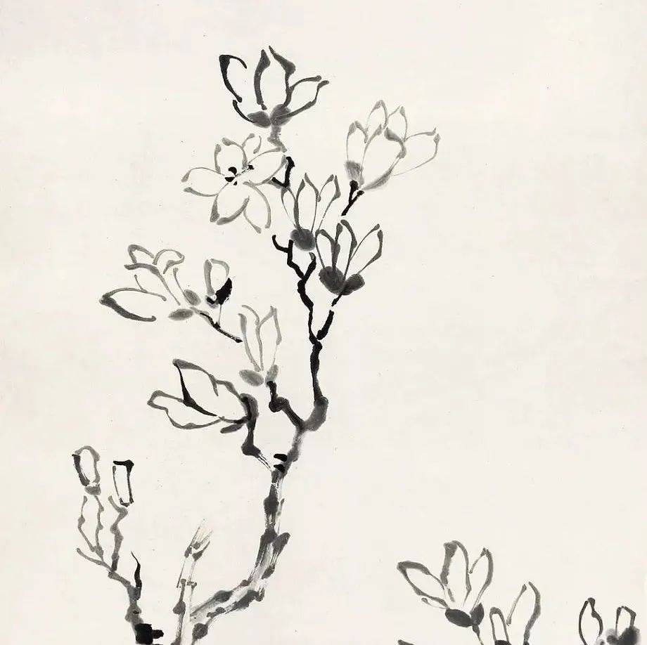 玉兰迎春,历代名家画玉兰,美不胜收_波罗蜜_般若_吴昌硕