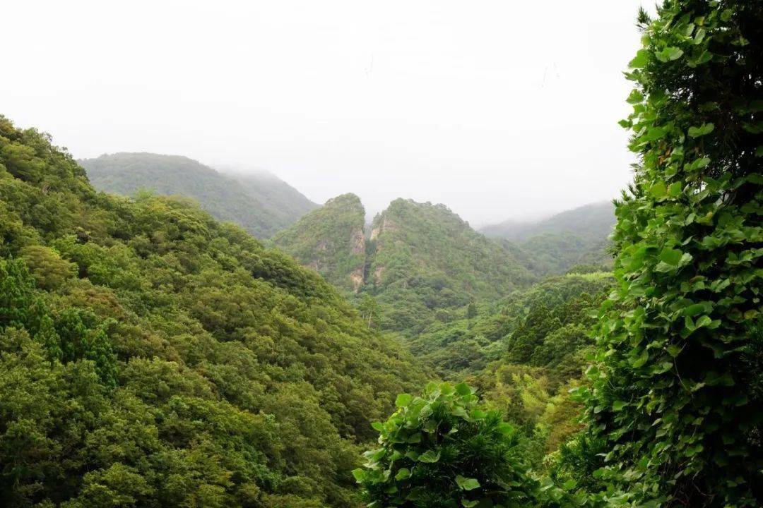日本最大金矿佐渡金山要申遗日韩又闹起来了