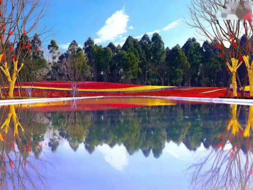 望江公园历史 6d1c5eddadf94ccda35df09387cba02b.jpeg