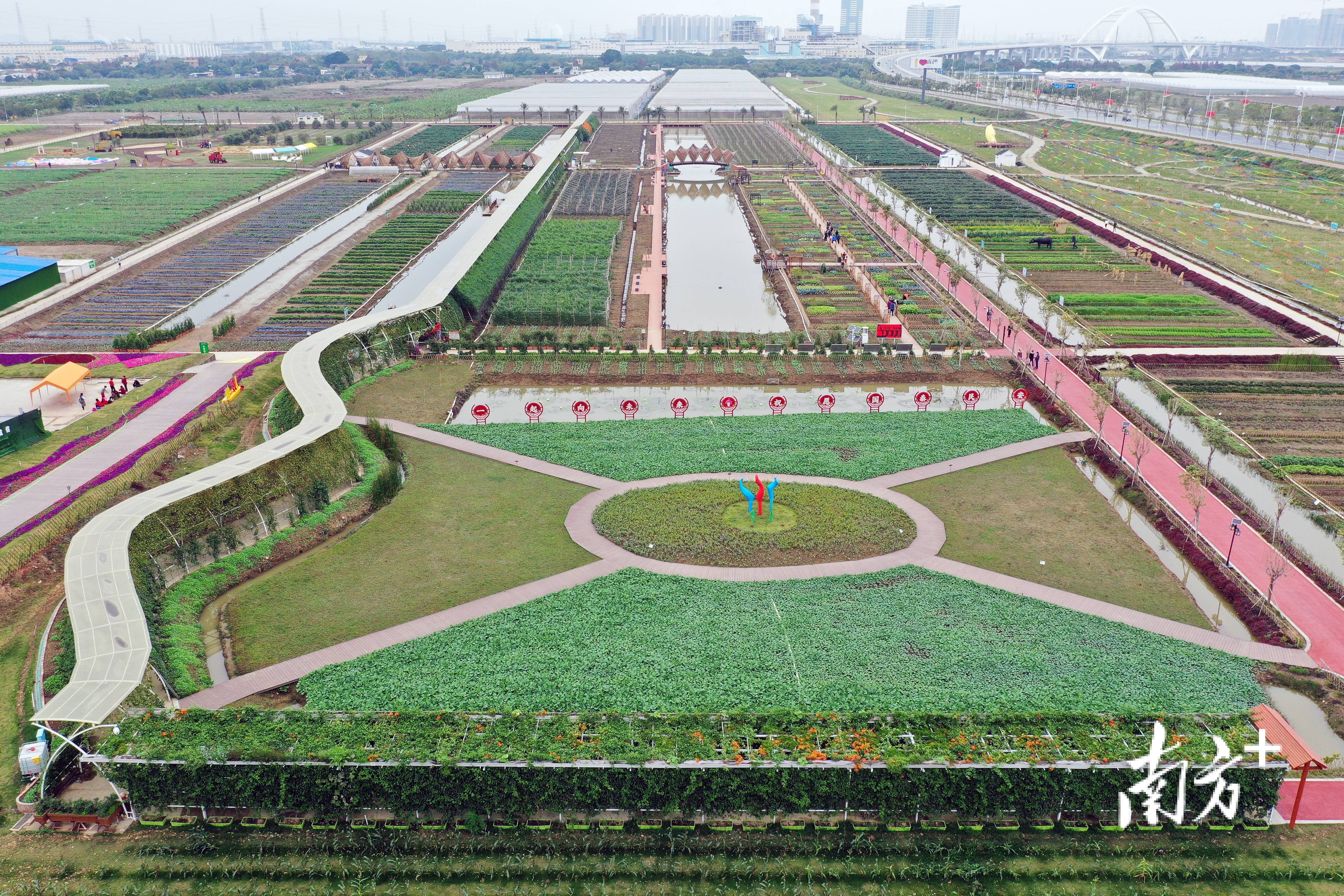 广州南沙明珠农业园图片