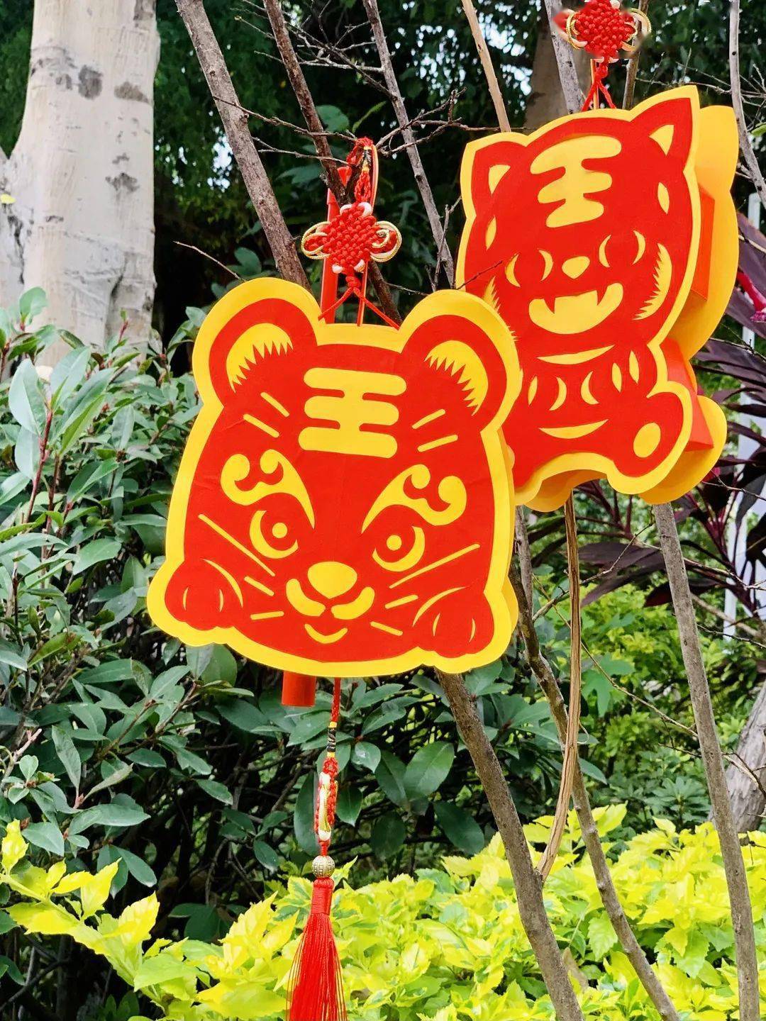 福虎花灯新春研学课程招生啦