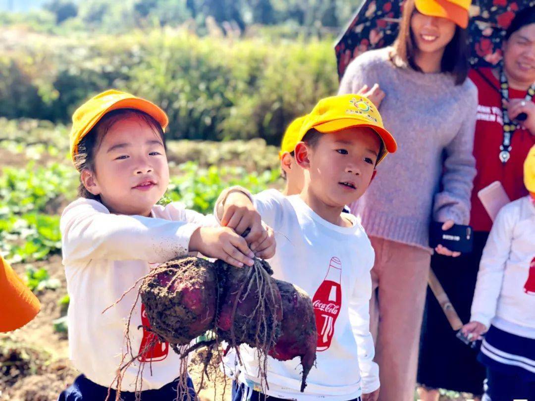 单位|恭喜！乐清这3所幼儿园“升级”了！我市已有13家省一级幼儿园，有你家附近的吗？