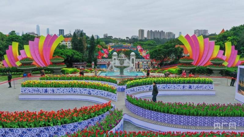 展览|【图集】荷兰主题沉浸式花艺装置在广州揭幕