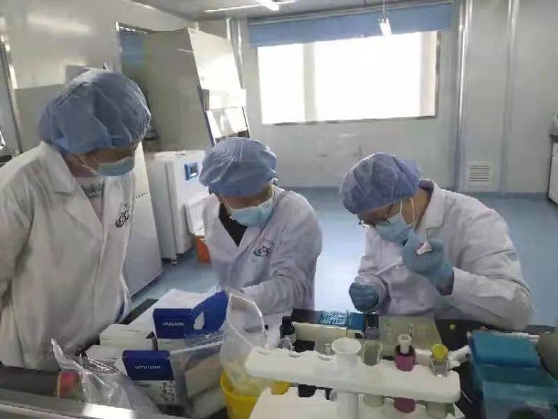 中心实验室|【992 | 最新】德尔塔变异株！廊坊市疾控中心完成首例新冠病毒基因组测序