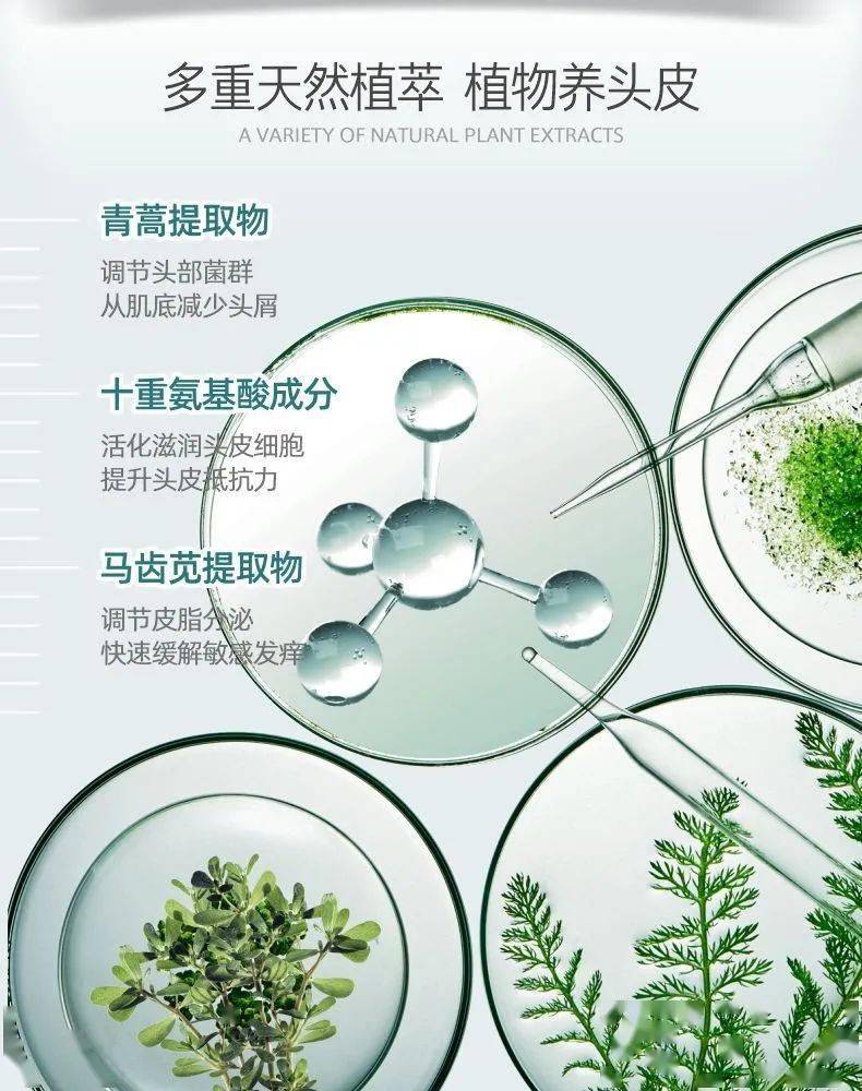 尸体头上抠下来的白泥竟是螨虫尸体!头痒头屑出油多,用它就对了