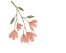 河北的松花蛋怎么吃