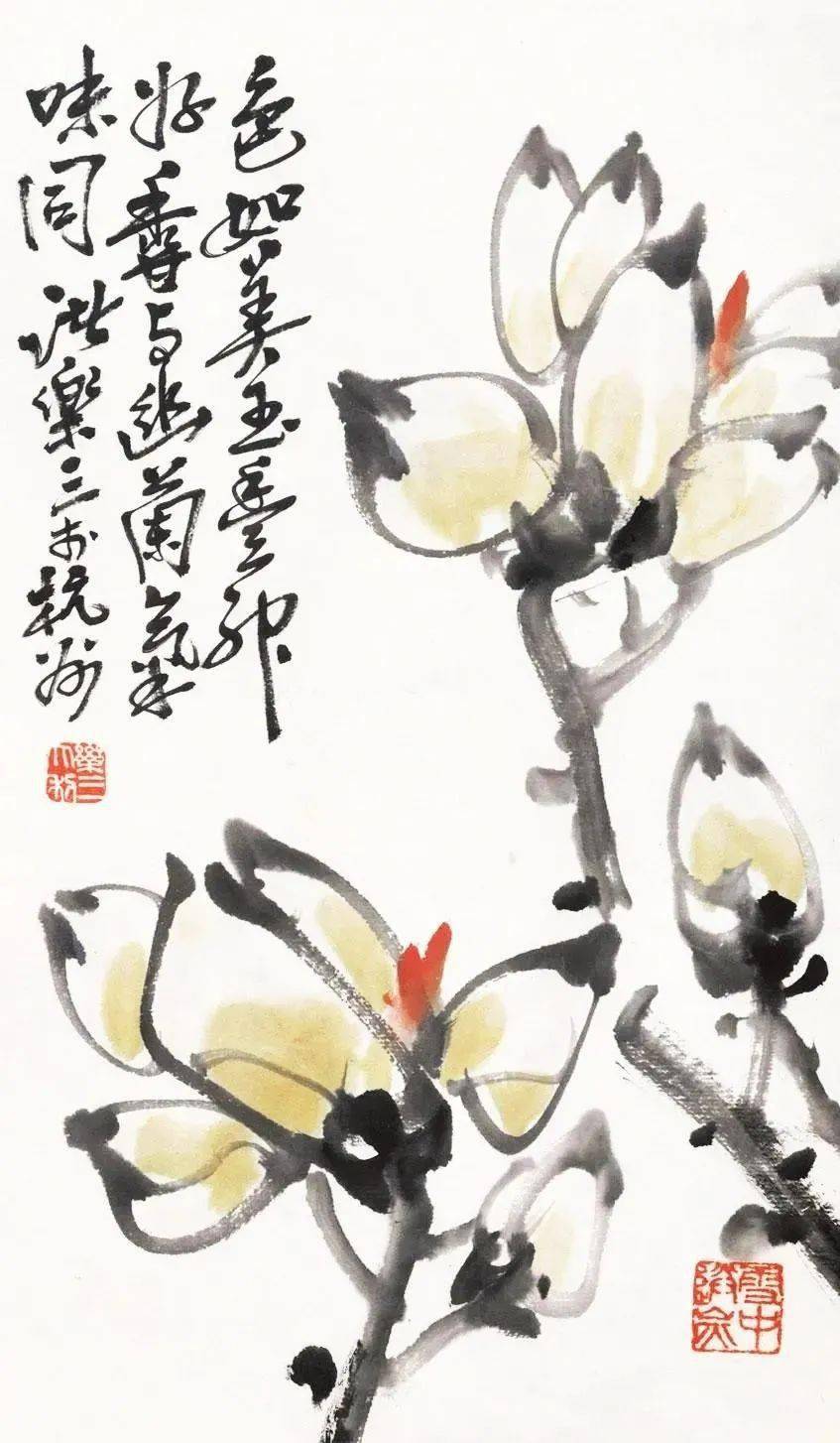 玉兰迎春,历代名家画玉兰,美不胜收_吴昌硕_齐白石_吉图