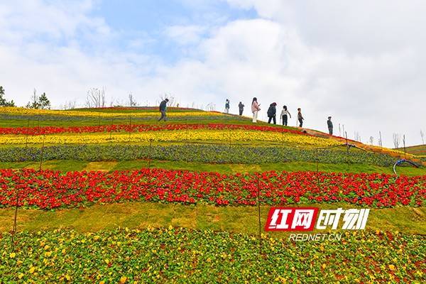 大年|欢喜过大年|衡东县一网红打卡地花奇里开园