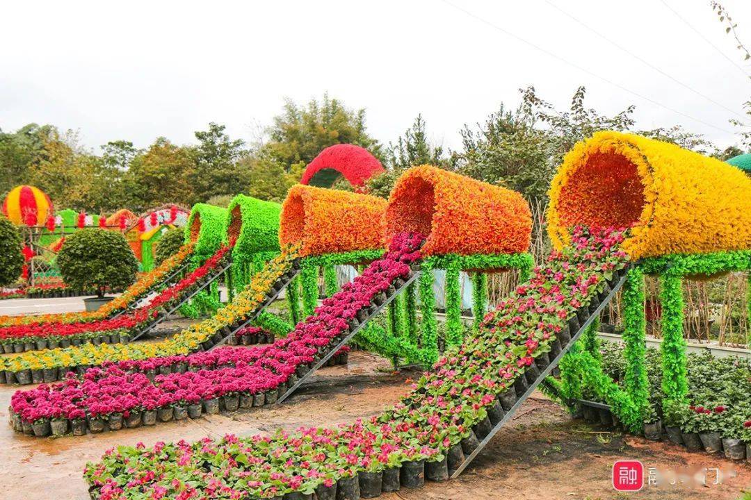 【春节去哪玩】融水芳馨农庄超美花卉盆景展等着你来.