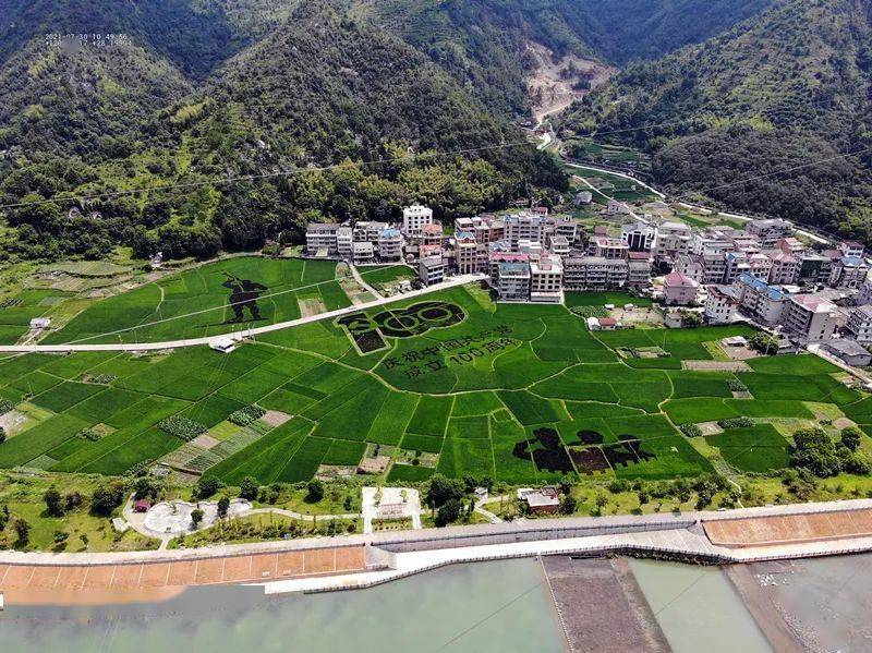 2021这一年丨桥头镇栉风沐雨砥砺前行圆满交出发展高分答卷