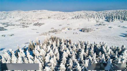 地缝|全区联动连夜除雪 今日武隆各景区畅通无阻