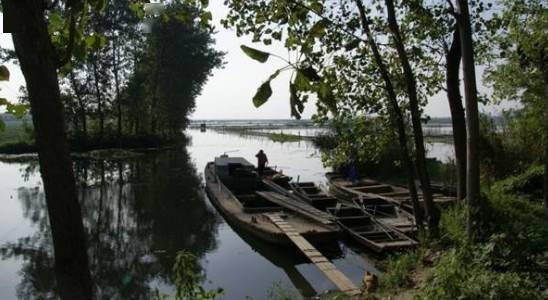 在河西宝应曾有一个围出来的乡镇