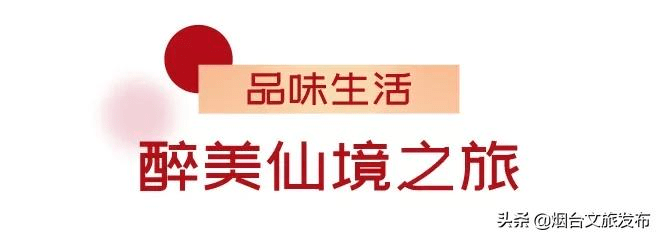 生活|安排！烟台“品味生活年”系列路线，藏着太多新春玩法！