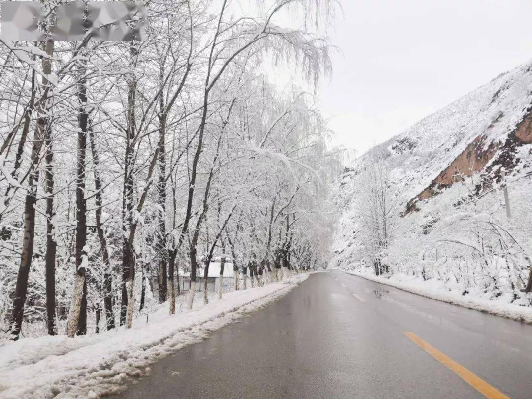 会泽公园雪景图片