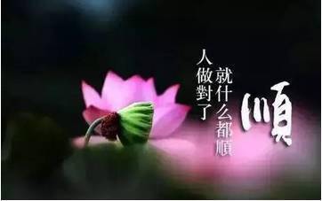 22fa76f9402a4a93924455d46cf7b099.jpeg