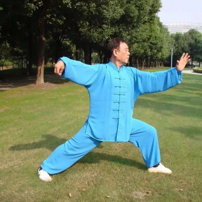 [每周精讲]传统杨氏太极拳85式(6)白鹤亮翅_杨式_身体_西安市