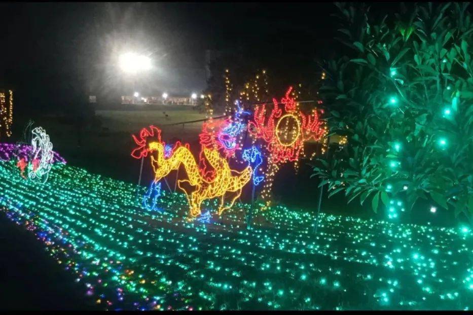 多图灯光璀璨下的普宁春节夜景