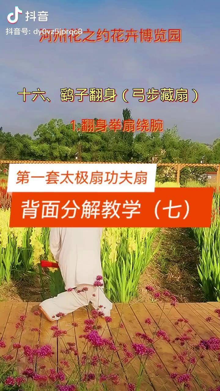 太极功夫扇背面教学图片