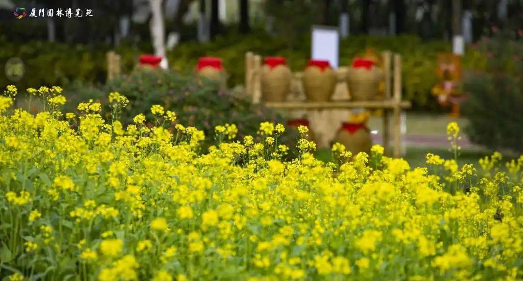 步道|今日立春，雨停了！快出门玩耍吧，攻略已备好→