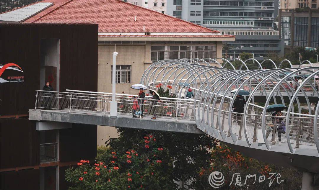 步道|今日立春，雨停了！快出门玩耍吧，攻略已备好→