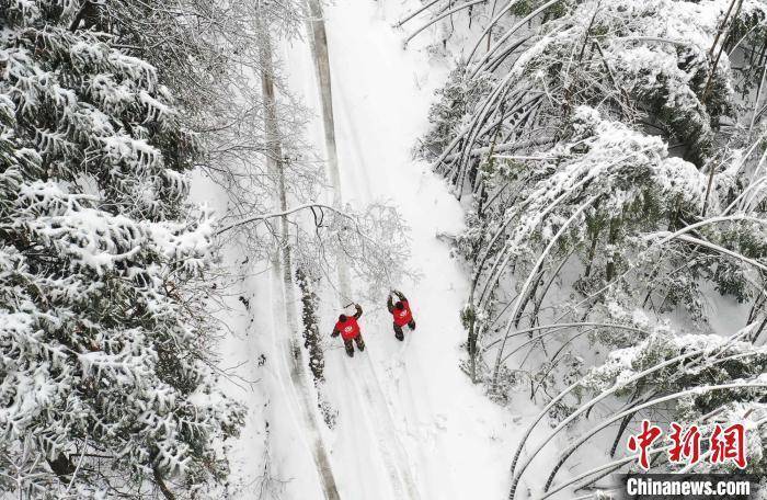 山林|湖南张家界：寒冬踏雪护山林