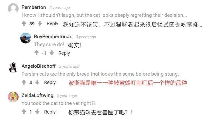 波斯猫的大饼脸受到了一万点伤害值.