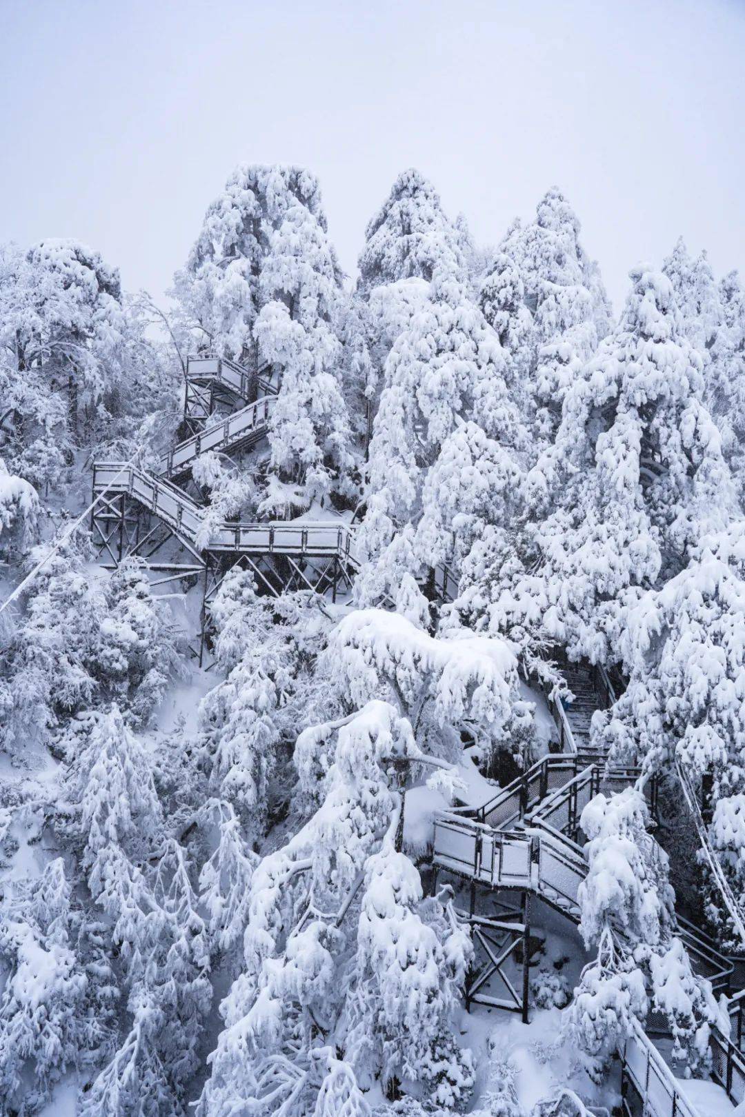 森林之城临安现醉美雪景喜迎北京冬奥会盛大开幕