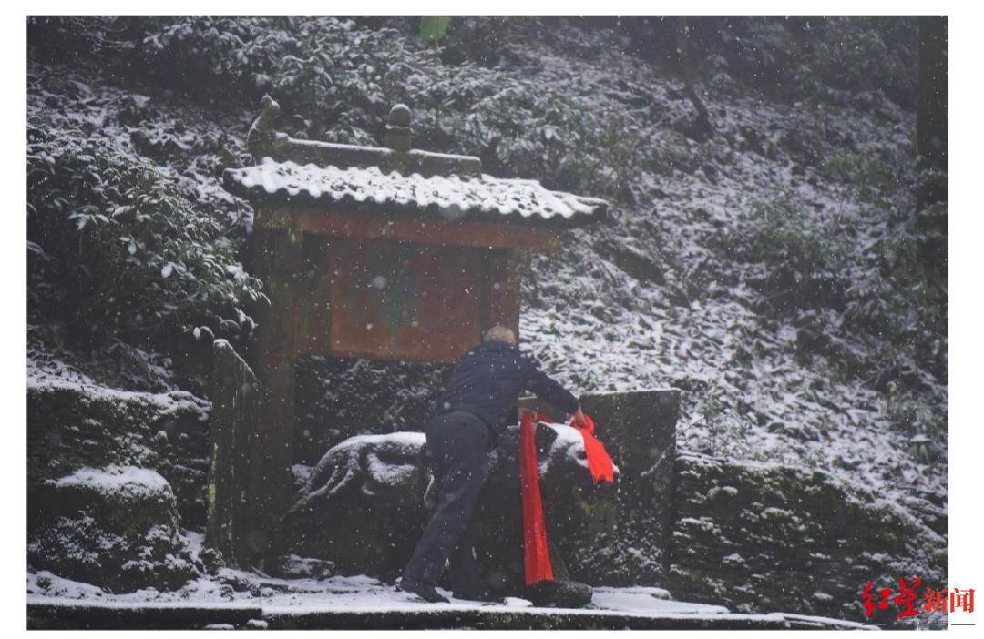 门票|虎年拜茶虎！生肖属虎游客免门票 春节3天四川蒙顶山景区游客增5成