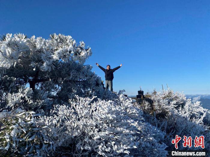 雾凇|福建宁德世界地质公园迎来今年首场雾凇