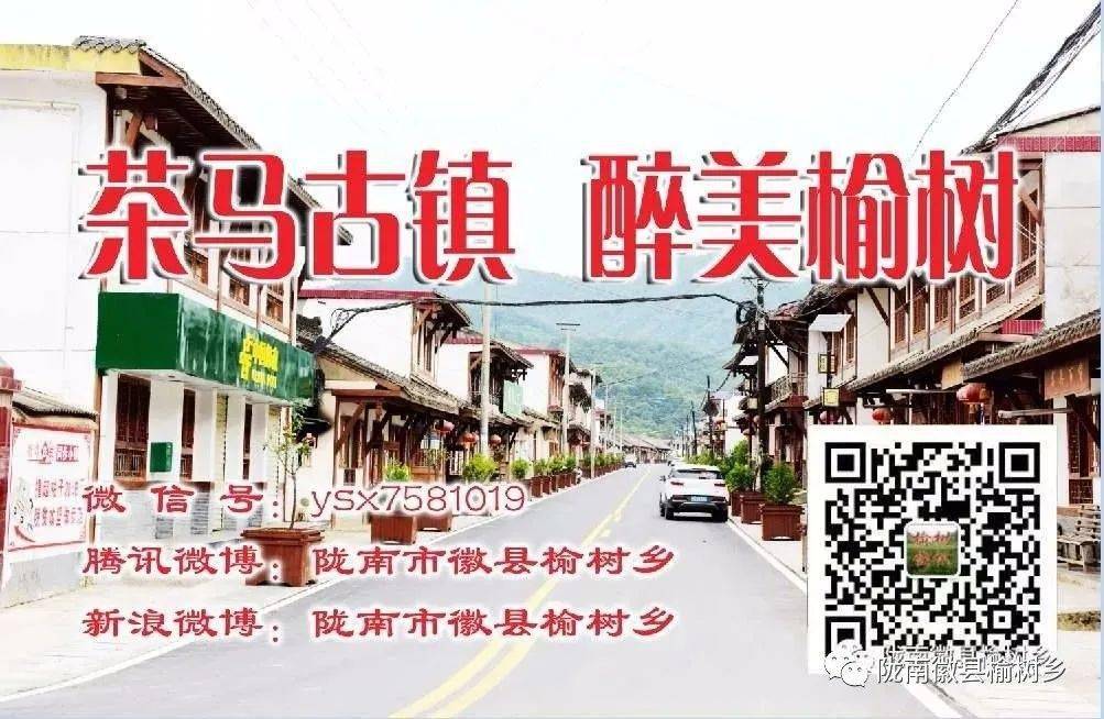 榆树招聘_榆树教育招人的套路 保障教学的秘籍