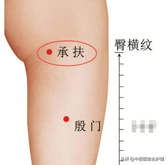 「穴位养生科普」药有药性,穴有穴性.42条穴太实用了,快来看看吧_关元