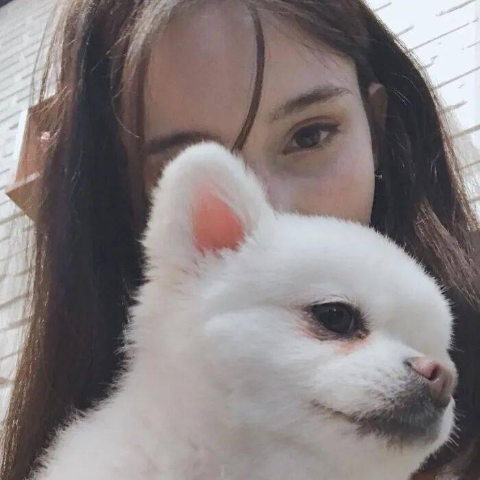 收藏好看的欧美头像