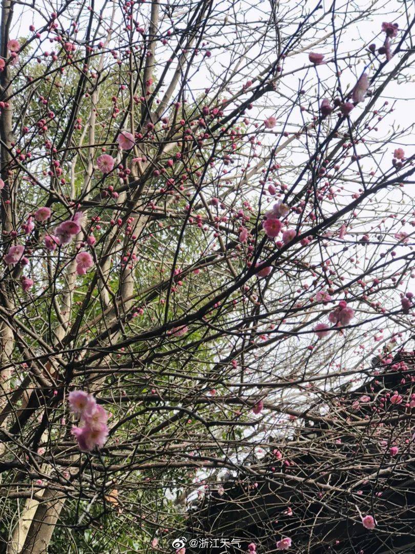 大转折！绍兴人做好准备！第三波下雪、大雨、雨夹雪要来了……交警发布重要提醒！