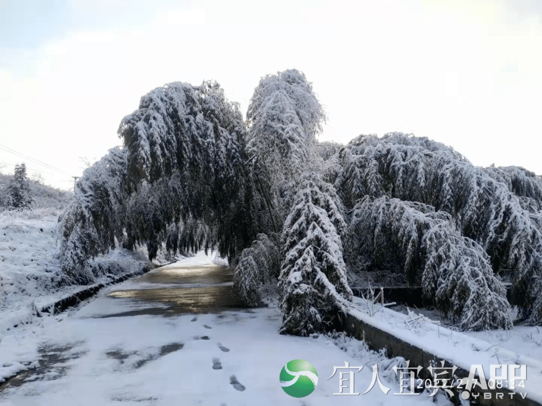 (點擊視頻觀看超美雪景)興文縣仙峰山(點擊視頻觀看超美雪景)老君山