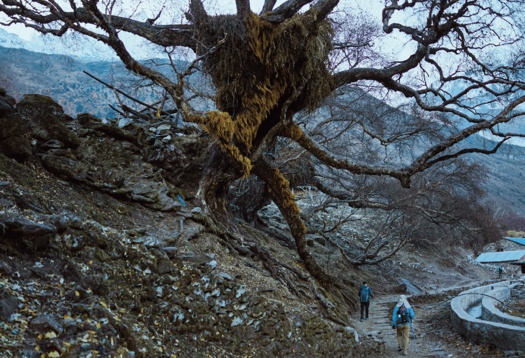 旅途|跟旅行作者入山南，读懂藏地古文明