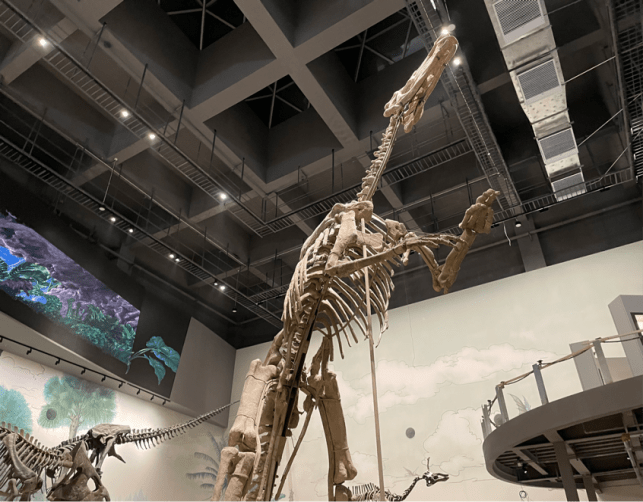 山东省博物馆恐龙和矿物世界展开展