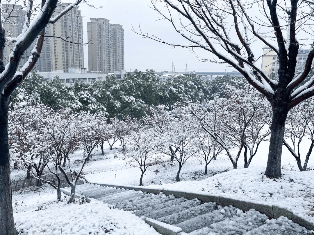 武昌理工学院校园雪景!美不胜收_大雪_万事胜_高尔夫球场