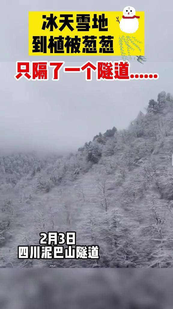 網友在穿過長10006米的四川泥巴山隧道前後,拍下了截然不同的景觀.