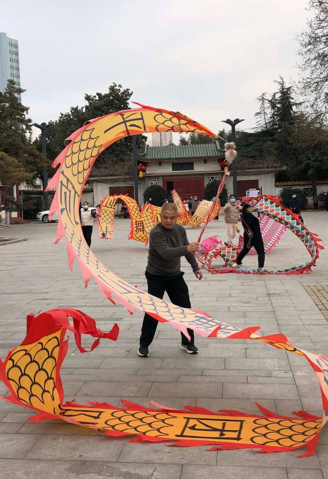 平顶山市老年健身爱好者手舞彩龙欢度春节_活动_舞龙队_彩带