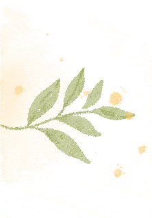 10da9c41679a46a887d33742e6459e05.gif