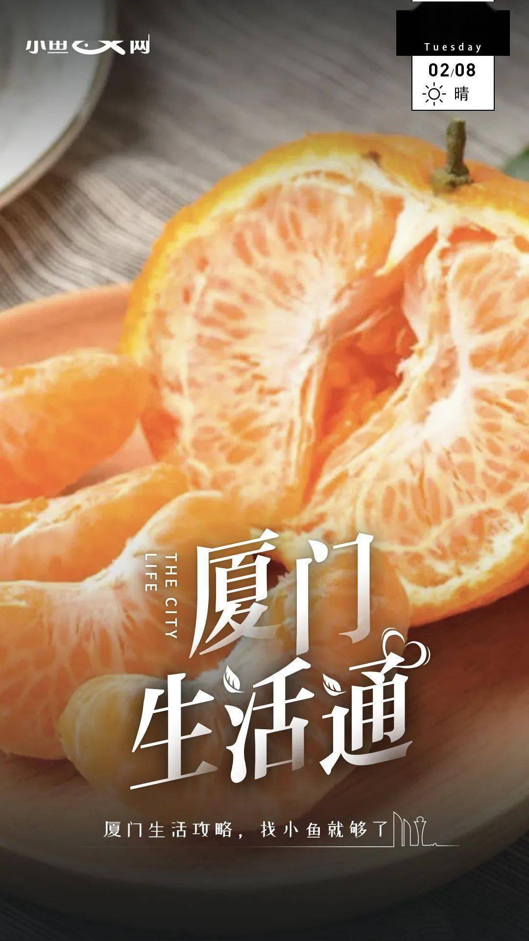 酸橙|原来这么多年的橘子都白吃了！橘子竟然是柠檬的爷爷辈！